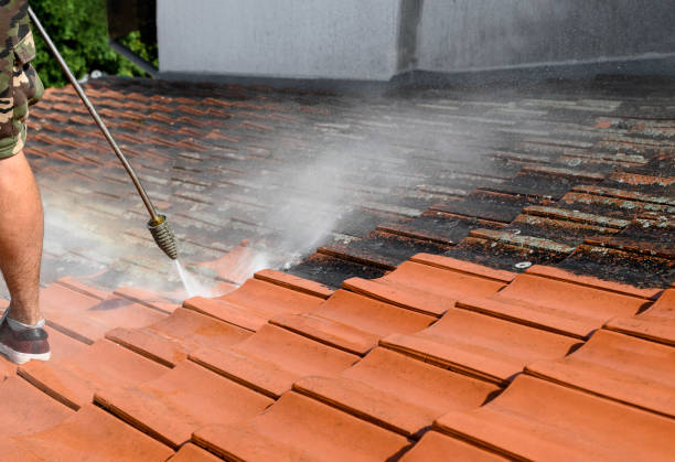 Best House Pressure Washing  in Enola, PA